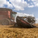 Avaliações do trigo de inverno do USDA atingiram o menor nível em 4 anos; milho 57% plantado, soja 49% pronto