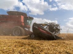 Avaliações do trigo de inverno do USDA atingiram o menor nível em 4 anos; milho 57% plantado, soja 49% pronto Avaliações do trigo de inverno do USDA atingiram o menor nível em 4 anos; milho 57% plantado, soja 49% pronto