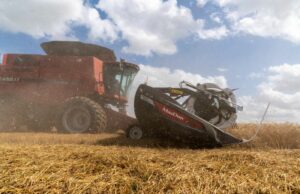 Avaliações do trigo de inverno do USDA atingiram o menor nível em 4 anos; milho 57% plantado, soja 49% pronto Avaliações do trigo de inverno do USDA atingiram o menor nível em 4 anos; milho 57% plantado, soja 49% pronto