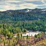Besta perigosa vista pela primeira vez em 100 anos no Parque Nacional da Sequoia depois de ser exterminada