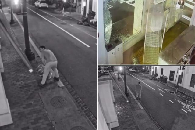 Bro joga barril de cerveja pela janela da padaria DC, Bro joga barril de cerveja pela janela da padaria DC, causando US$ 10 mil em danos – e deixando o padeiro apavorado: vídeo