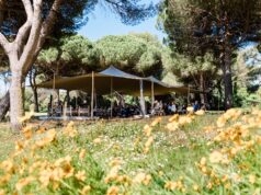 CAA reúne os principais cineastas e executivos de estúdio para o simpósio de Cannes sobre o futuro do cinema com Finch & Partners CAA Finch Film Summit Cannes