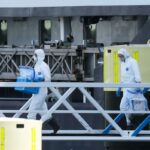 Canadá confirma caso de hantavírus ligado a surto mortal em navio de cruzeiro