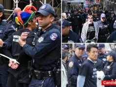 Candidato democrata ao Congresso é preso em protesto do Primeiro de Maio que bloqueou Wall Street Candidato democrata ao Congresso é preso em protesto do Primeiro de Maio que bloqueou Wall Street