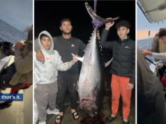 Captura de monstro que vale até US$ 70 mil, mas o trio australiano nunca verá um centavo Os quatro passaram duas horas disputando o enorme peixe.