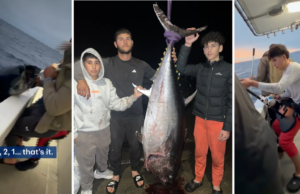 Captura de monstro que vale até US$ 70 mil, mas o trio australiano nunca verá um centavo Os quatro passaram duas horas disputando o enorme peixe.