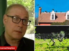 Casal da Carolina do Norte acusado de causar invasão de abutres processado pela cidade furiosa: ‘Não são bons vizinhos’ Casal da Carolina do Norte acusado de causar invasão de abutres processado pela cidade furiosa: 'Não são bons vizinhos'