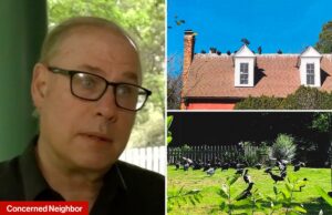 Casal da Carolina do Norte acusado de causar invasão de abutres processado pela cidade furiosa: ‘Não são bons vizinhos’ Casal da Carolina do Norte acusado de causar invasão de abutres processado pela cidade furiosa: 'Não são bons vizinhos'