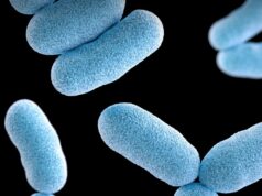 Centenas de australianos infectados com doenças raras e mortais Bactéria Corynebacterium diphtheriae