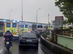 Cidadão francês sofre sintomas na viagem de volta de um cruzeiro infectado pelo hantavírus Cidadão francês sofre sintomas na viagem de volta de um cruzeiro infectado pelo hantavírus