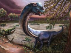 Cientistas identificam novo dinossauro enorme após escavação na Tailândia Cientistas identificam novo dinossauro enorme após escavação na Tailândia
