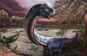 Cientistas identificam novo dinossauro enorme após escavação na Tailândia Cientistas identificam novo dinossauro enorme após escavação na Tailândia