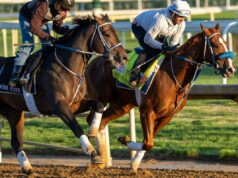 Código promocional FanDuel Racing para o Kentucky Derby: Aposte $ 5 e ganhe $ 25 em bônus de corrida Código promocional FanDuel Racing para o Kentucky Derby: Aposte $ 5 e ganhe $ 25 em bônus de corrida