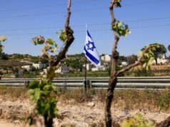 Colonos israelenses forçam família palestina a exumar e reenterrar seu pai Colonos israelenses forçam família palestina a exumar e reenterrar seu pai