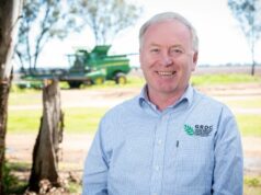 Com mais de US$ 830 milhões nos cofres, é aqui que está o foco do GRDC Com mais de US$ 830 milhões nos cofres, é aqui que está o foco do GRDC