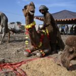 Comerciantes de gado do Eid do Paquistão perdem enquanto a guerra contra o Irã aumenta os preços