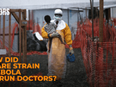 Como é que uma estirpe rara de Ébola ultrapassou os médicos? Como é que uma estirpe rara de Ébola ultrapassou os médicos?