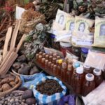 Medicamentos fitoterápicos Nigéria