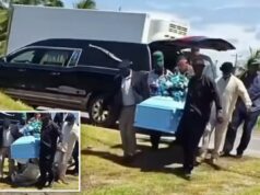 Corpo cai do fundo do caixão no funeral enquanto pessoas horrorizadas gritam Captura de vídeo de portadores carregando um caixão azul claro enquanto o corpo cai.