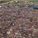 Crise do Eid na Nigéria: quando uma moldura se torna um luxo