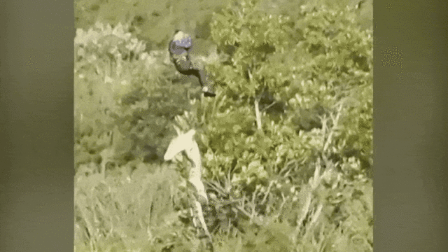 O crocodilo foi transportado de avião para o Parque Nacional Kruger, nas proximidades, antes de um exame post-mortem ser realizado.
