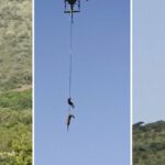 Crocodilo de transporte aéreo da polícia sul-africana após motorista desaparecer
