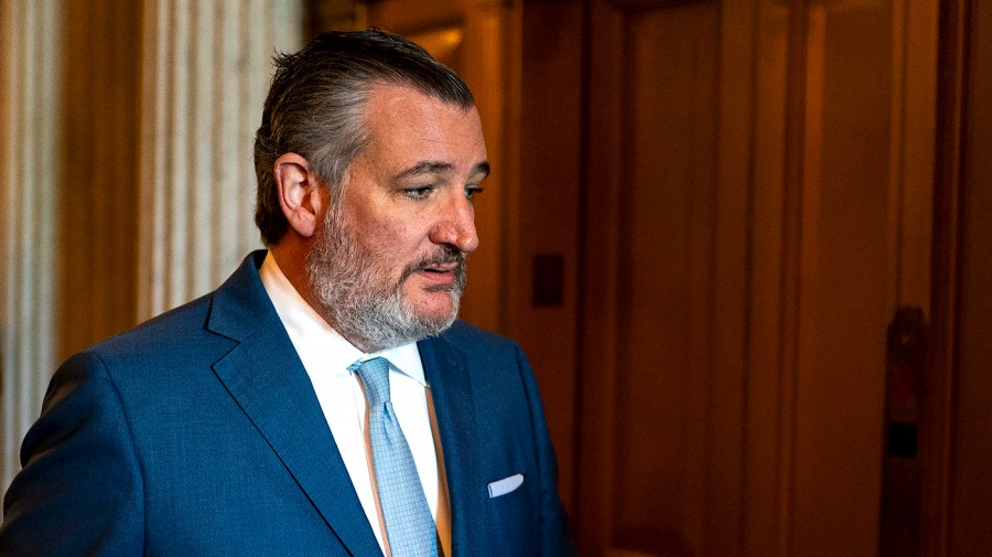 Cruz sobre a reunião do Partido Republicano no Senado de Blanche: 'Fogos de artifício em um nível épico'