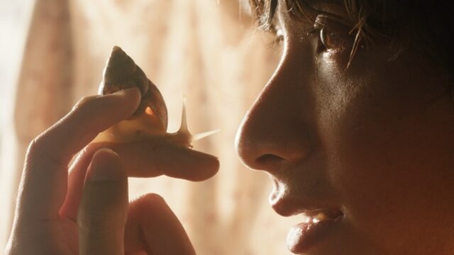 Curta de Cannes 'The Dream Is a Snail' receberá adaptação Curta de Cannes 'The Dream Is a Snail' receberá adaptação (EXCLUSIVO)