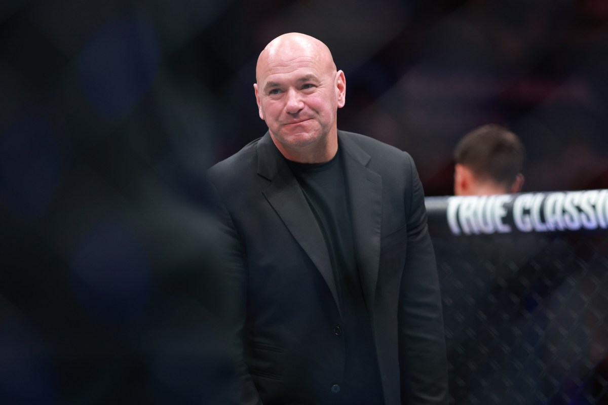Dana White aborda a reação após o anúncio da luta de Conor McGregor