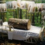 Dê uma primeira olhada na exposição de arte envolvente que ocupa mais de 80 quartos em um hospital fechado no centro de Los Angeles
