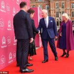Declan Donnelly se viu no centro de uma engraçada ilusão de ótica, pois parecia que ele estava usando uma saia plissada enquanto cumprimentava o rei Charles e a rainha Camilla no tapete vermelho