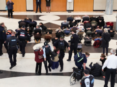 Dezenas de manifestantes fecharam parte do Parlamento A segurança do Parlamento e a AFP removem manifestantes pró-Palestina do saguão de mármore do Parlamento em Canberra na terça-feira, 26 de maio de 2026.