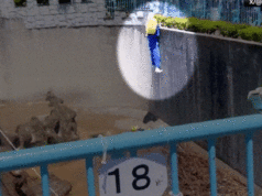 Dois americanos são presos depois que um homem fantasiado entrou no recinto de um macaco japonês viral Dois homens foram presos após o incidente.