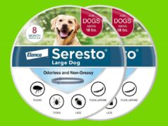 É temporada de carrapatos – você está preparado? Abasteça-se de Seresto enquanto está à venda Coleira de prevenção e tratamento contra pulgas e carrapatos recomendada pelo veterinário para cães grandes Seresto