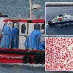 EUA se movimentam para evacuar passageiros americanos a bordo de navio de cruzeiro contra hantavírus, quarentena em Nebraska