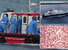 EUA se movimentam para evacuar passageiros americanos a bordo de navio de cruzeiro contra hantavírus, quarentena em Nebraska EUA se movimentam para evacuar passageiros americanos a bordo de navio de cruzeiro contra hantavírus, quarentena em Nebraska