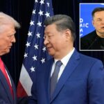 Elon Musk se juntará a Trump na China para uma reunião de alto risco com Xi – junto com os CEOs da Apple, Meta e Boeing