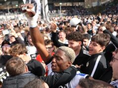 Elversberg, que abriga apenas 13.000 pessoas, torna-se a menor cidade a ser promovida à Bundesliga Elversberg, que abriga apenas 13.000 pessoas, torna-se a menor cidade a ser promovida à Bundesliga