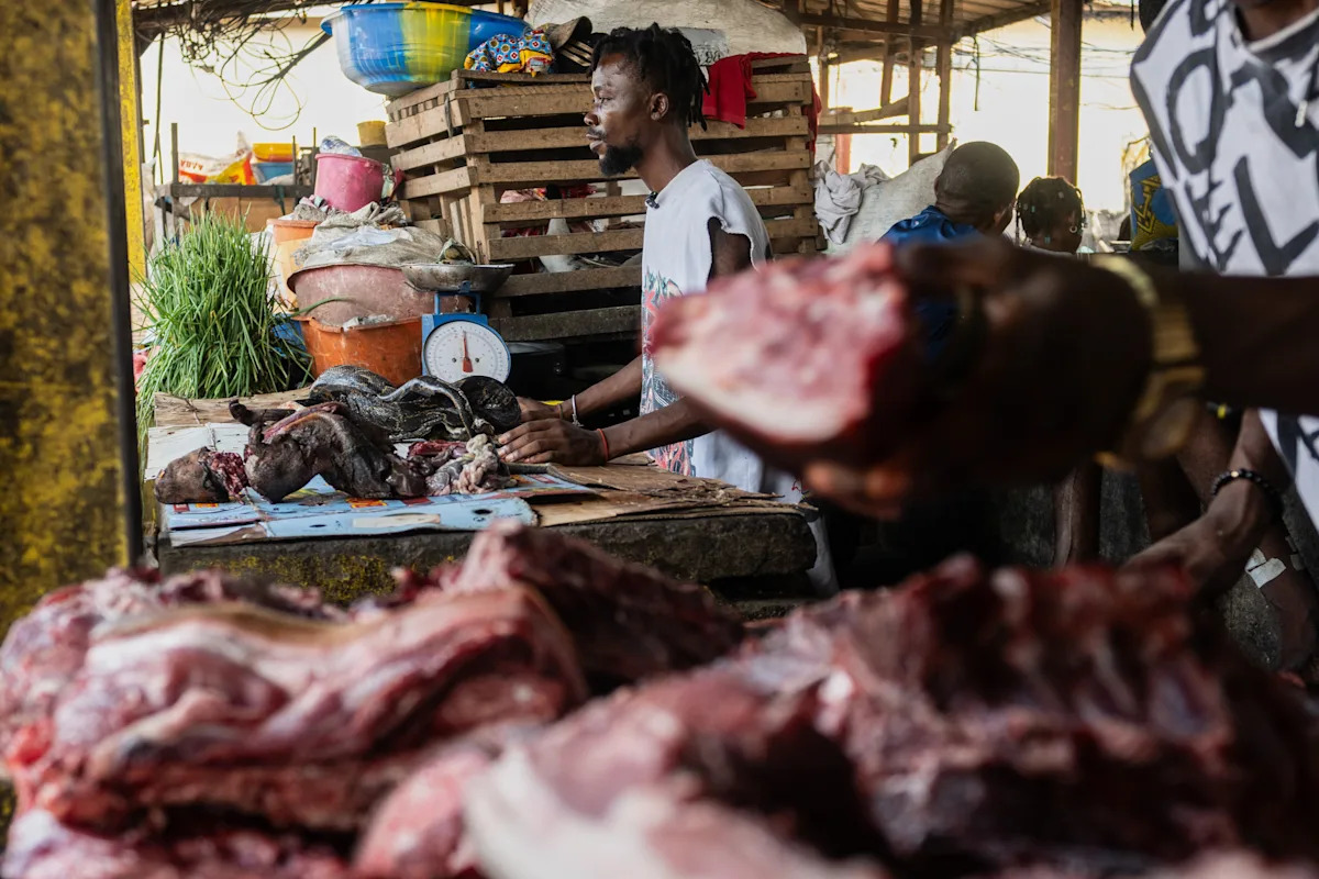 Enquanto o Ébola flagela o Congo, especialistas alertam para a ligação ao consumo de “carne selvagem”