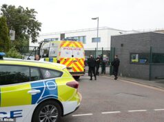 Escola de Manchester é fechada e a polícia invade as salas de aula após ‘pistola d’água confundida com arma de fogo’ Alunos da Cedar Mount Academy em Wembley Road, em Gorton Education Village, teriam sido instruídos a permanecer em suas salas de aula, com testemunhas afirmando que alarmes podiam ser ouvidos na escola.