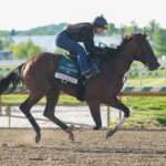 Preakness Stakes entra no treinamento Bull By The Horns durante os treinos matinais.
