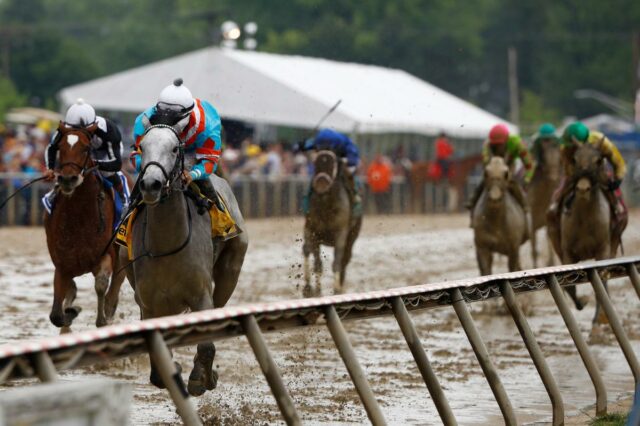 Holly's Holiday, uma entrada da Black-Eyed Susan, treina durante os treinos matinais em Laurel Park.