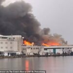 Grossas nuvens de fumaça podiam ser vistas subindo acima de um prédio comercial perto da Universidade do Sul da Flórida, em São Petersburgo, enquanto um incêndio com dois alarmes provocava uma grande resposta de emergência.