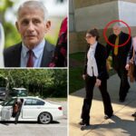 Ex-conselheiro sênior de Anthony Fauci afirma ser ‘inocente’ das acusações de destruição de registros COVID