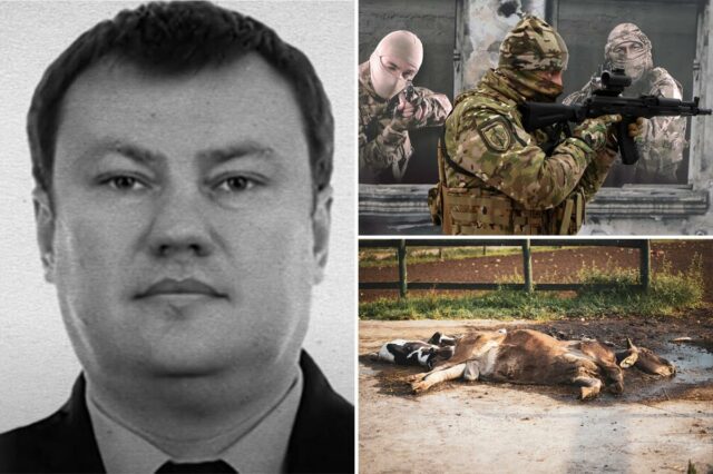 Ex-espião russo escapou dos esquadrões da morte de Putin escondendo-se Mugshot do ex-agente russo Dmitry Senin.