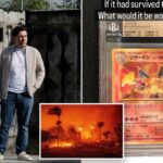Fabricante de brinquedos que perdeu US$ 8,5 milhões em cards de Pokémon durante a coleta de reconstrução do Palisades Fire – e sua vizinhança