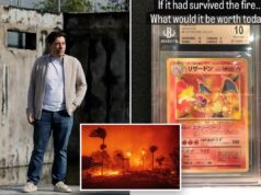 Fabricante de brinquedos que perdeu US$ 8,5 milhões em cards de Pokémon durante a coleta de reconstrução do Palisades Fire – e sua vizinhança Fabricante de brinquedos que perdeu US$ 8,5 milhões em cards de Pokémon durante a coleta de reconstrução do Palisades Fire – e sua vizinhança