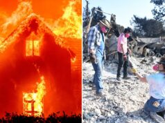 Federais revelam que esforços para limpar restos tóxicos do incêndio florestal em Los Angeles foram bem-sucedidos Federais revelam que esforços para limpar restos tóxicos do incêndio florestal em Los Angeles foram bem-sucedidos
