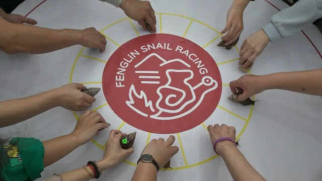 Fenglin, em Taiwan, organiza corridas de caracóis para promover uma vida lenta e revitalizar o turismo
