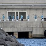 Pessoas com trajes de proteção esperam na fila após desembarcar do navio de cruzeiro MV Hondius, infectado pelo hantavírus, atracado no porto de Granadilla de Abona, na ilha de Tenerife, nas Ilhas Canárias, na Espanha, em 11 de maio.